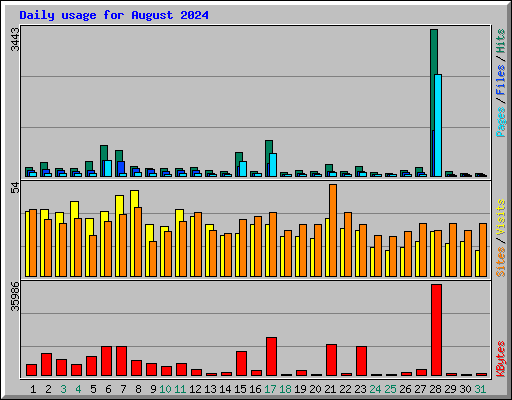 Daily usage for August 2024