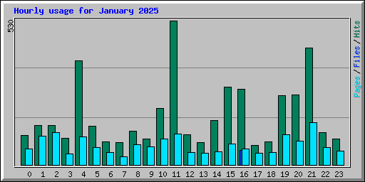 Hourly usage for January 2025